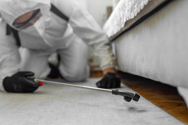 Professional Rodent Control technician working in Hart, TX