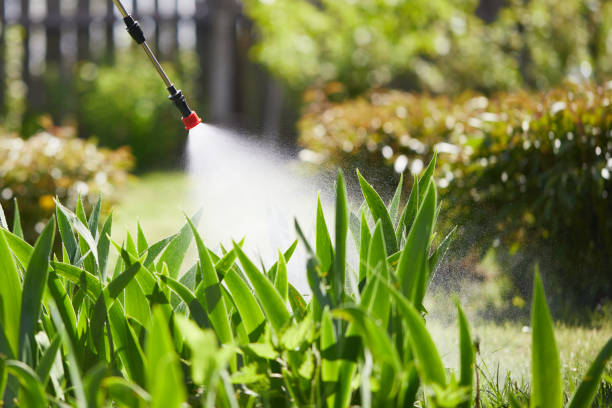 24/7 Emergency Rodent Control experts in Hart, TX
